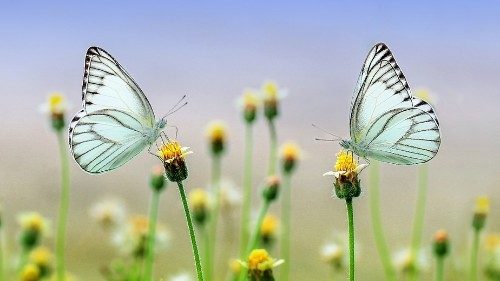 "Lasst Gerechtigkeit und Frieden fließen"